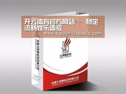 项目名称十三