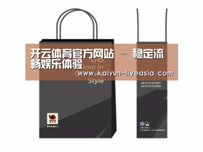 项目名称十四