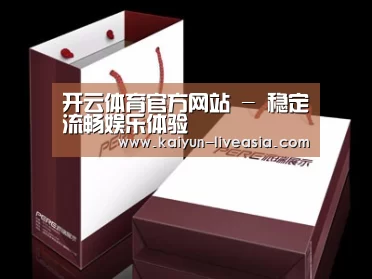 项目名称十二