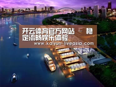 案例展示八