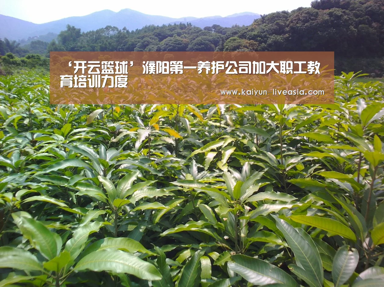 ‘开云篮球’濮阳第一养护公司加大职工教育培训力度(图4) 开云足球