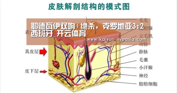 开云篮球