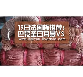 19日法国杯推荐:巴黎圣日耳曼VS里昂“开云体育”(图3) 开云篮球